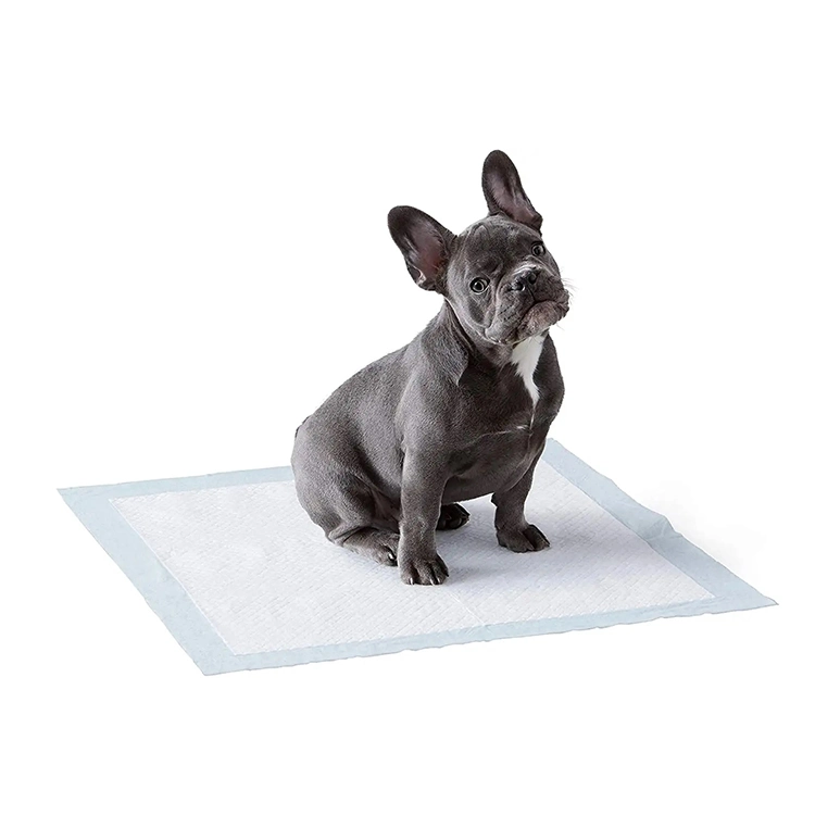 Hot Sale Pet Product Pet Supply Pet Accessory Pet Sanitary Pad Pet Bed Pad Dog Toy Bed Sheet Cat Litter Pad Bed Sheet Dog Cage Pad Cooling Pad Pet Food Dental